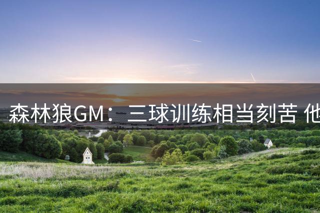 森林狼GM：三球训练相当刻苦 他能向其他人传递正能量